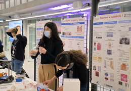 Univ-nantes00674 DSF0826