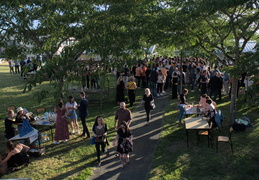 Cérémonie de remise des diplômes de l'IUT