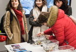 Nuit Blanche des Chercheurs 2020