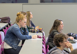 La journée d'orientation du Tertre : le programme en FLCE