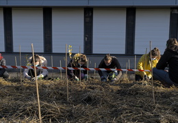 FUN : Forêt de l'Université de Nantes