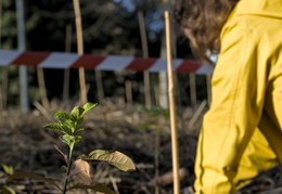 FUN : Forêt de l'Université de Nantes