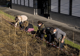 FUN : Forêt de l'Université de Nantes