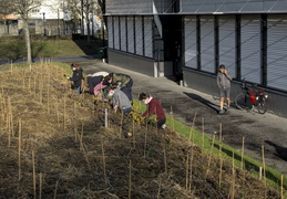 FUN : Forêt de l'Université de Nantes