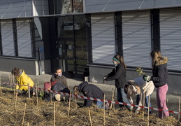 FUN : Forêt de l'Université de Nantes