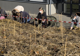 FUN : Forêt de l'Université de Nantes