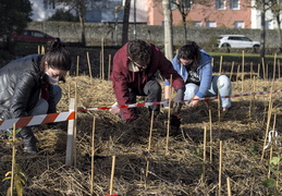 FUN : Forêt de l'Université de Nantes