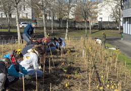 FUN : Forêt de l'Université de Nantes