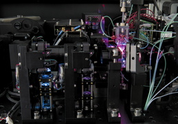 Plates-formes IRS UN : Cytocell