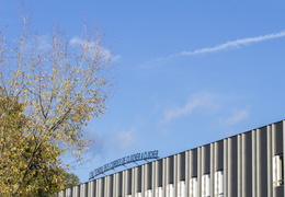 Rimbaud, perché sur le campus Tertre