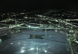Diatomées, sculptures en verre marin Glaz inspirées de frustules de microalgues.