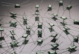 Diatomées, sculptures en verre marin Glaz inspirées de frustules de microalgues.