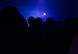 Festival de rentrée