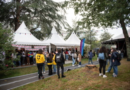 Festival de rentrée