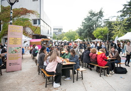 Festival de rentrée