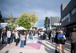 Festival de rentrée