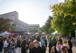 Festival de rentrée