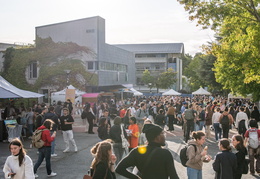 Festival de rentrée