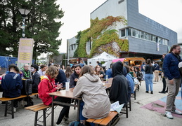 Festival de rentrée