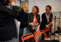 Festival de rentrée