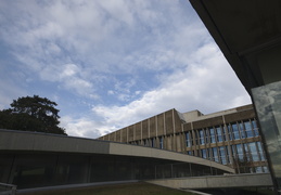 Faculté de Droit