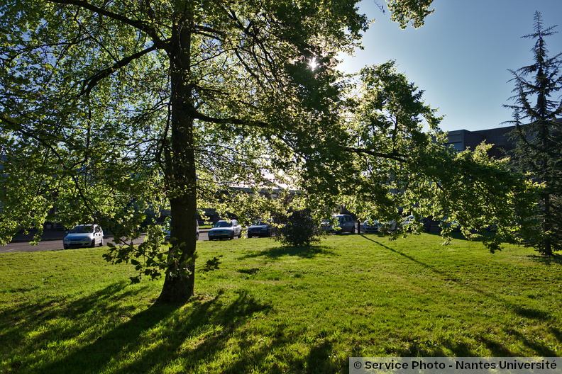 Univ-nantes10926_DSF2205.jpg