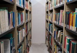 BU Sciences