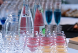 CeremonieDiplomes IAE 102