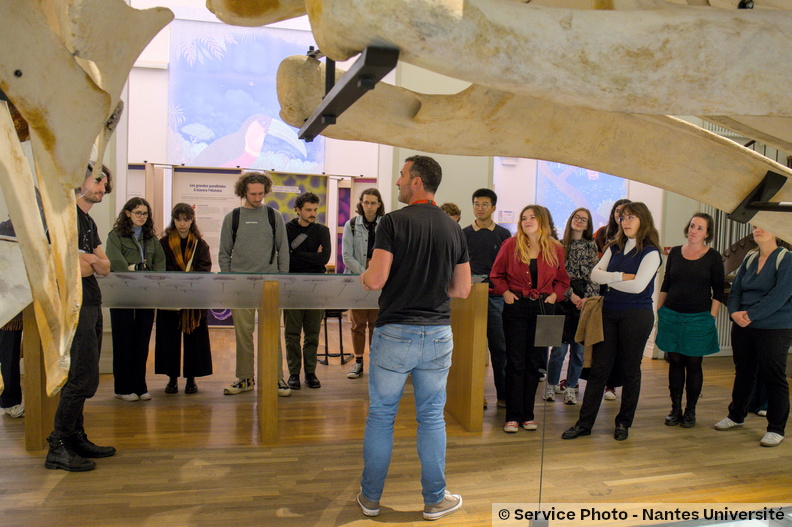 Univ-nantes01606_DSF3717.jpg