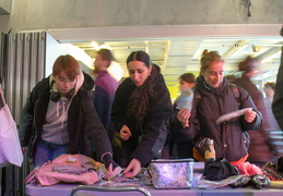 Célébrons l'engagement solidaire sur tous les campus !