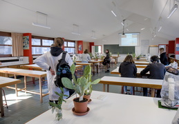 TP d'écologie