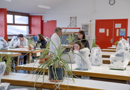 TP d'écologie
