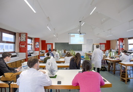TP d'écologie