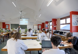 TP d'écologie