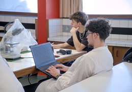TP d'écologie