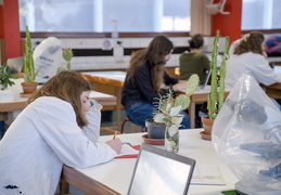 TP d'écologie