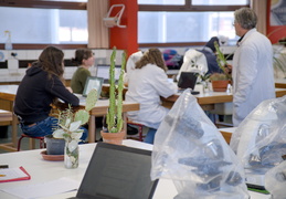 TP d'écologie