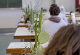 TP d'écologie
