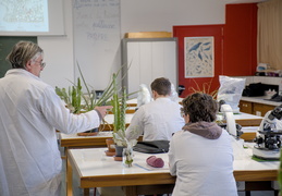 TP d'écologie
