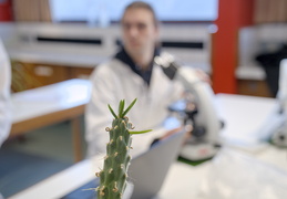 TP d'écologie