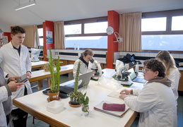 TP d'écologie