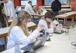 TP d'écologie