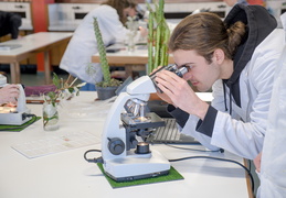 TP d'écologie