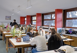 TP d'écologie