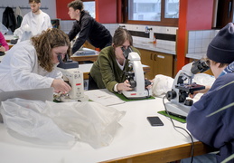TP d'écologie