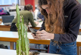 TP d'écologie