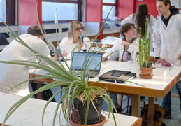 TP d'écologie