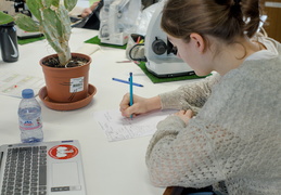 TP d'écologie