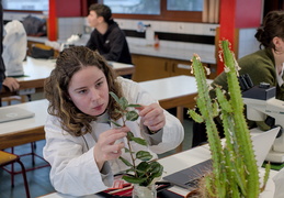 TP d'écologie