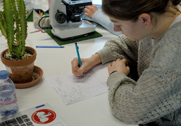 TP d'écologie